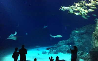 Week-end en Famille à Gournay-sur-Marne : Programme Complet en 2 ou 3 Jours